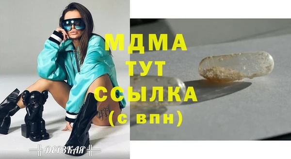 гашик Алексин