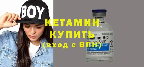 гашик Алексин
