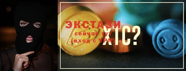гашик Алексин