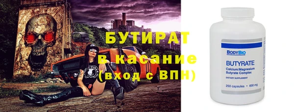 гашик Алексин