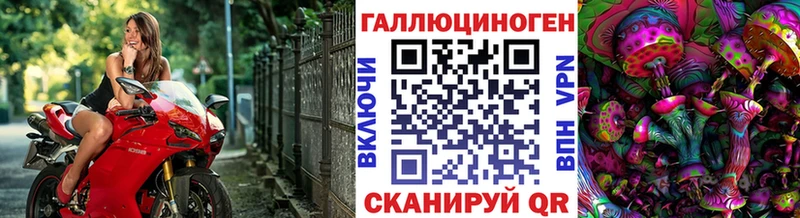 Псилоцибиновые грибы прущие грибы  продажа наркотиков  Курганинск 